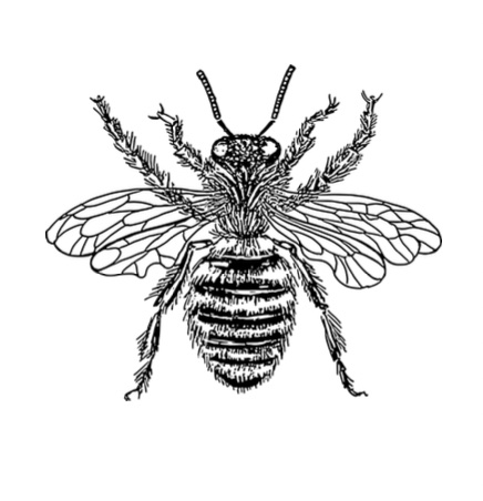 The Garden Guys Logo