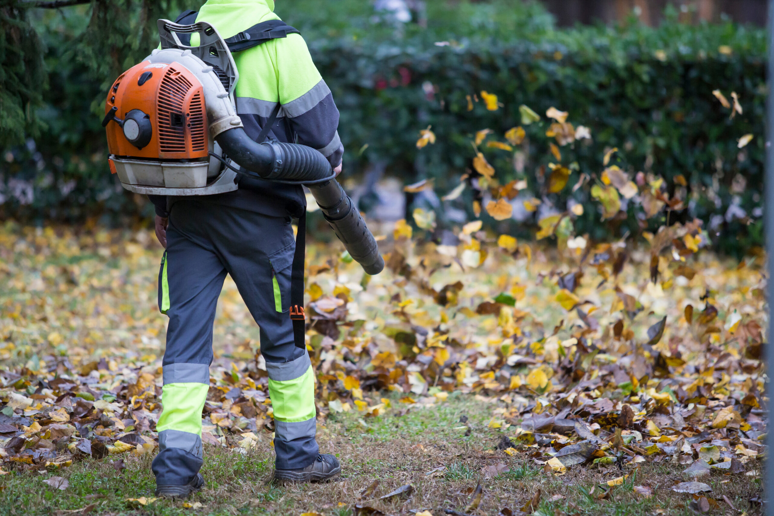Garden Tidy Up