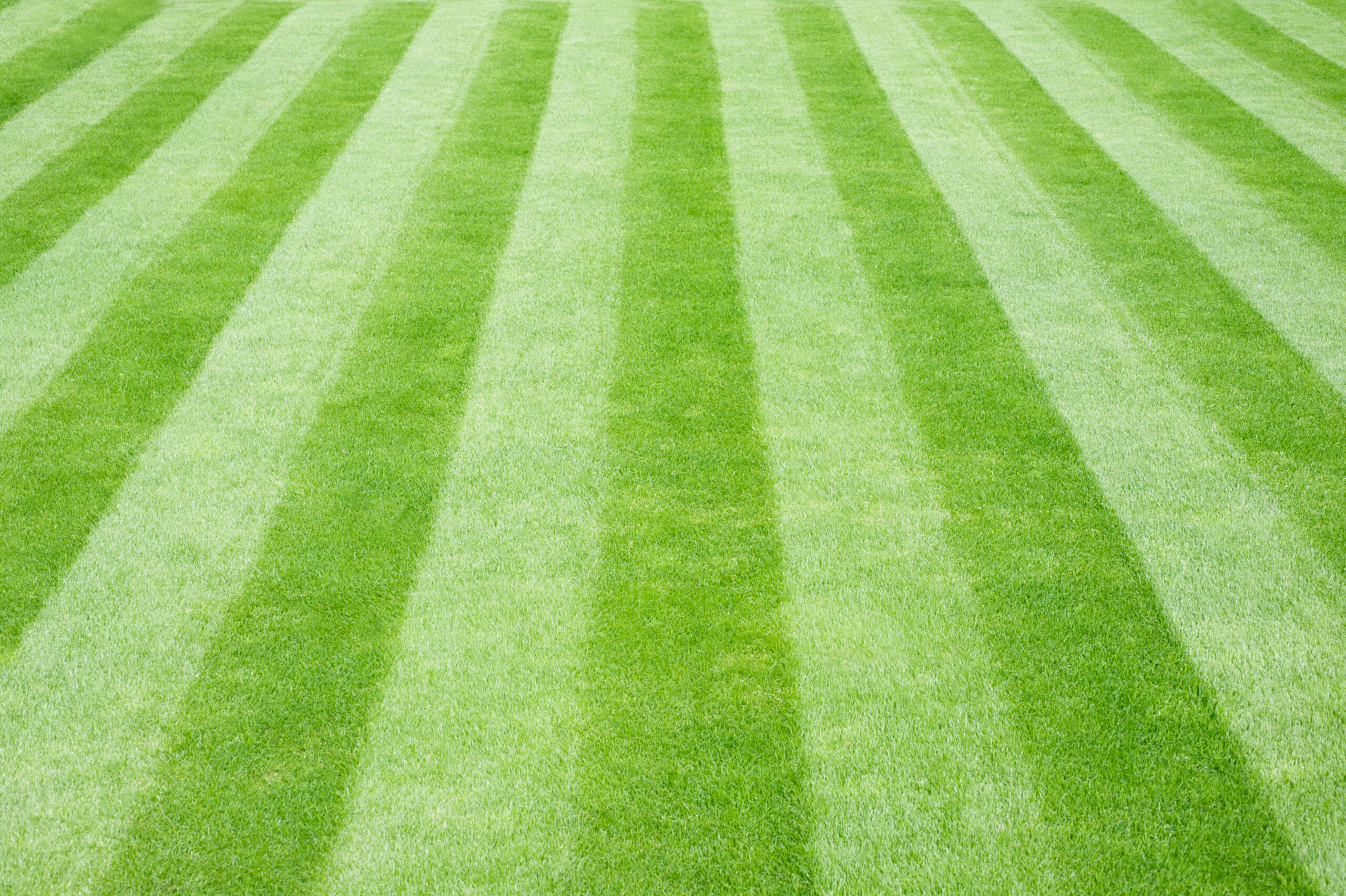 Lawn Care