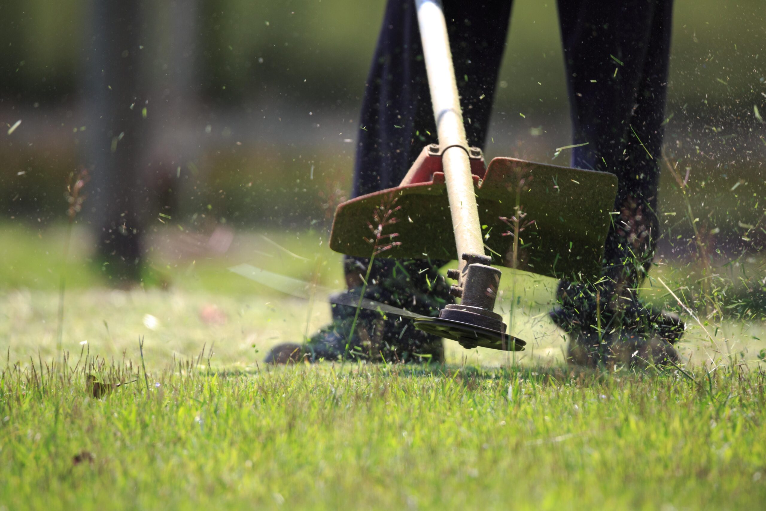 Lawn Mowing