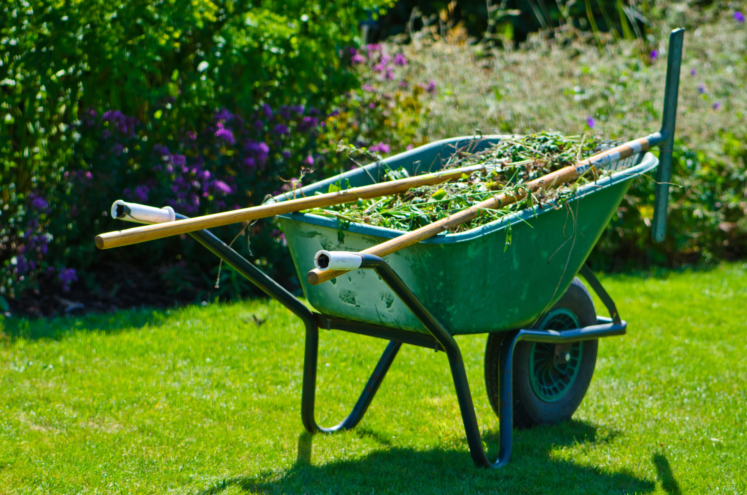 Planting & Weeding